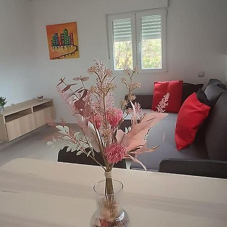 شقة Casa Celia فاليسكيو المظهر الخارجي الصورة